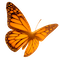 Meditation Retreat 1 Floating Butterfly