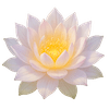 Lotus Icon