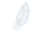 Feather Icon