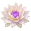 Lotus Icon