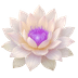 Lotus Icon