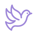 Dove flying