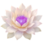 Lotus of the Amethyst Flame Icon (100px)