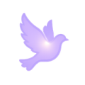 Radiant Dove 200