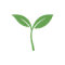 Seedling