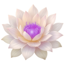 Amethyst lotus symbol representing gentle healing, safety, and inner awakening